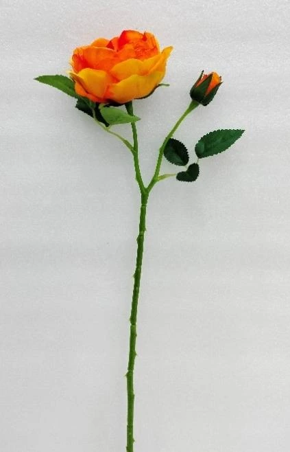 Soft Peony Med Stick x1 ( 1 med 2 bud) 50cm